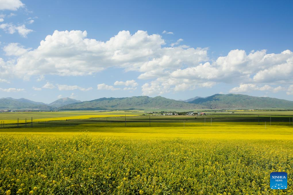 NW China's Zhaosu County enters peak tourism season in summer