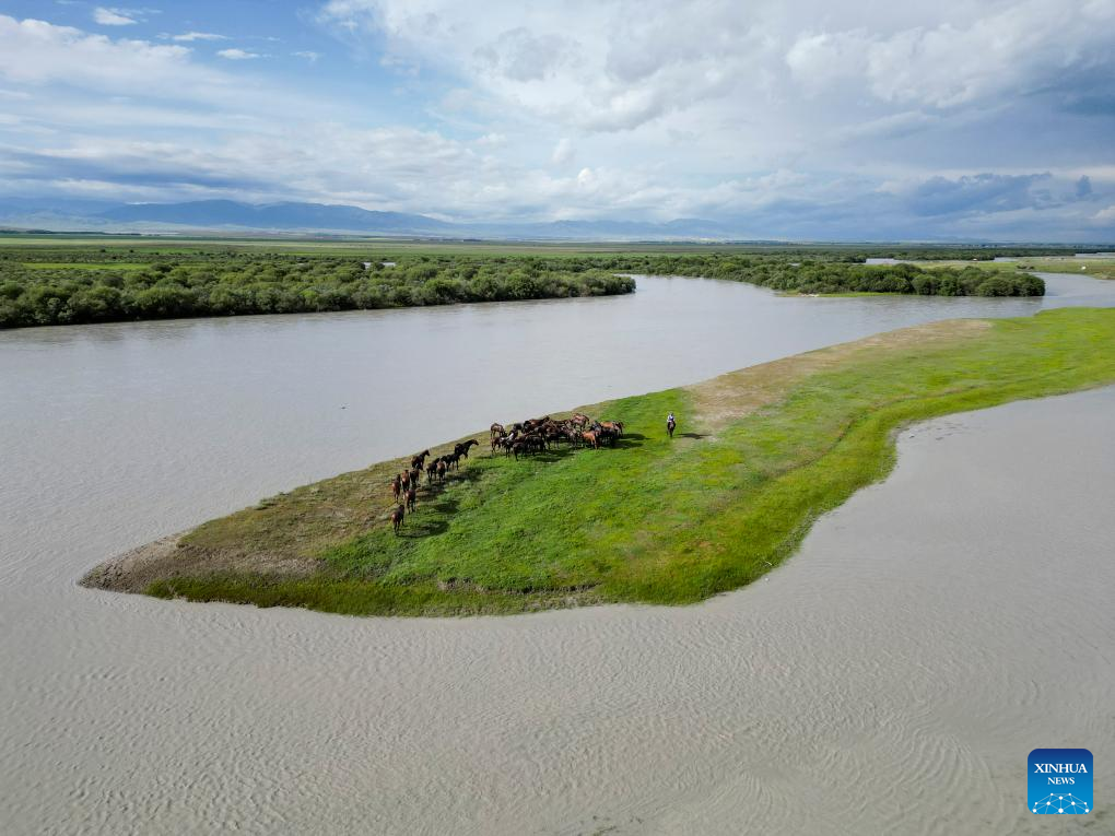 NW China's Zhaosu County enters peak tourism season in summer