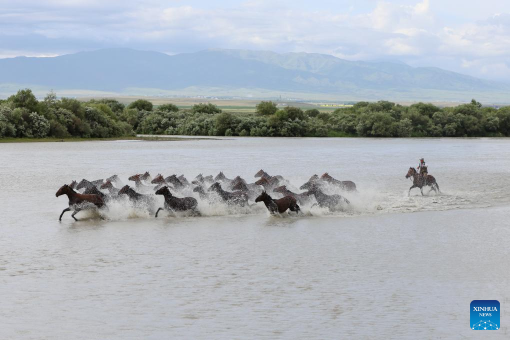 NW China's Zhaosu County enters peak tourism season in summer