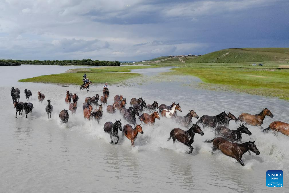 NW China's Zhaosu County enters peak tourism season in summer