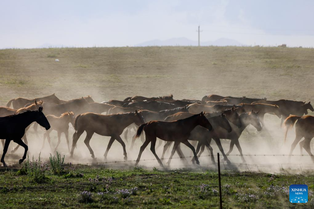 NW China's Zhaosu County enters peak tourism season in summer