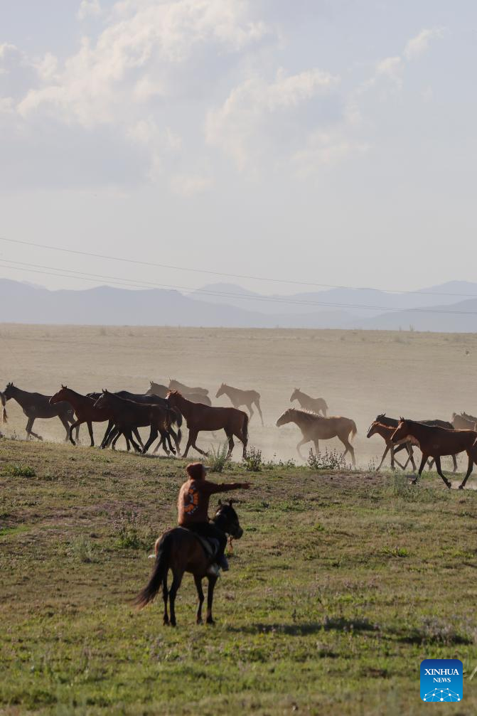 NW China's Zhaosu County enters peak tourism season in summer