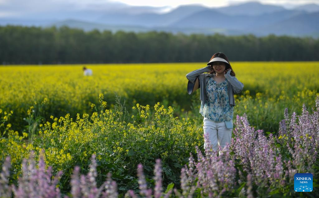 NW China's Zhaosu County enters peak tourism season in summer