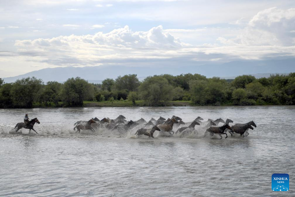 NW China's Zhaosu County enters peak tourism season in summer