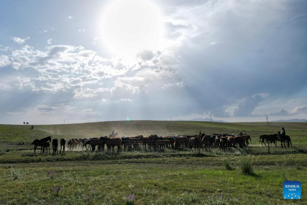 NW China's Zhaosu County enters peak tourism season in summer