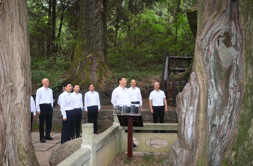 Xi inspects SW China's Sichuan