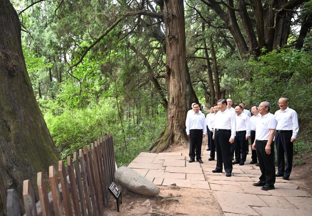 Xi inspects SW China's Sichuan