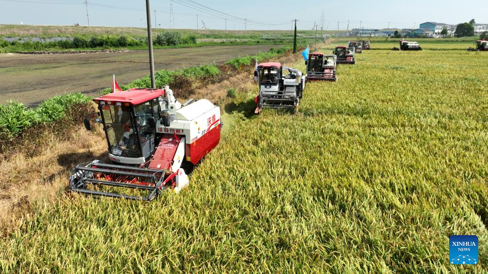 Farmers in Nanchang busy harvesting early-season rice