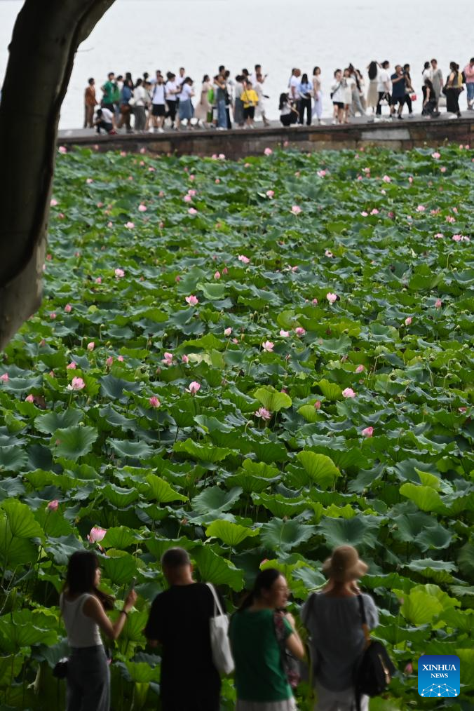 Tourists enjoy lotus flowers in West Lake scenic area in Hangzhou