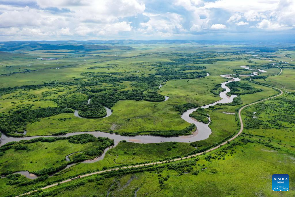 Scenery of wetland in China's Inner Mongolia