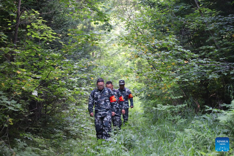 China Focus: Technology paves way for return of Siberian tigers