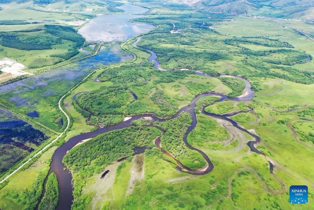 Scenery of wetland in China's Inner Mongolia
