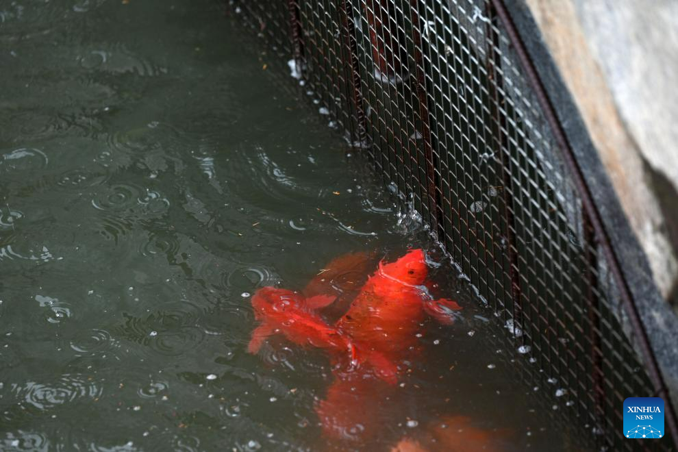 Forbidden City remains free of flooding thanks to sound drainage system