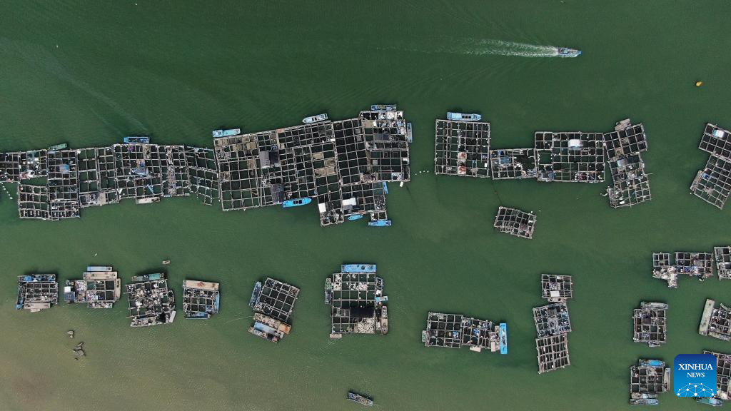 Raoping County in S China develops aquaculture
