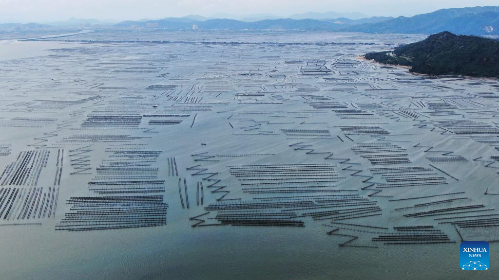 Raoping County in S China develops aquaculture