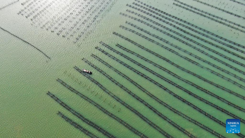 Raoping County in S China develops aquaculture