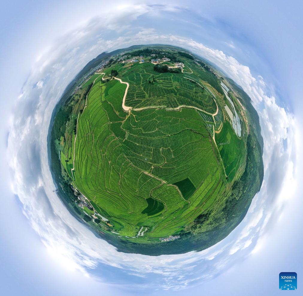 In pics: Cengong, major rice-growing county in China's Guizhou