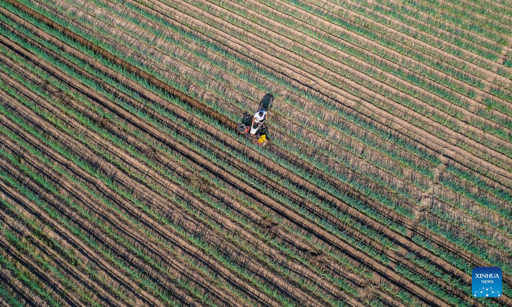 Farmers busy with harvesting across country on first day of autumn