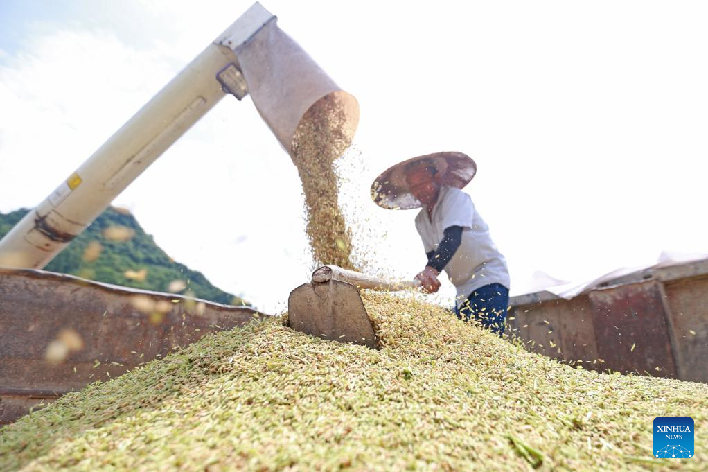 Farmers busy with harvesting across country on first day of autumn