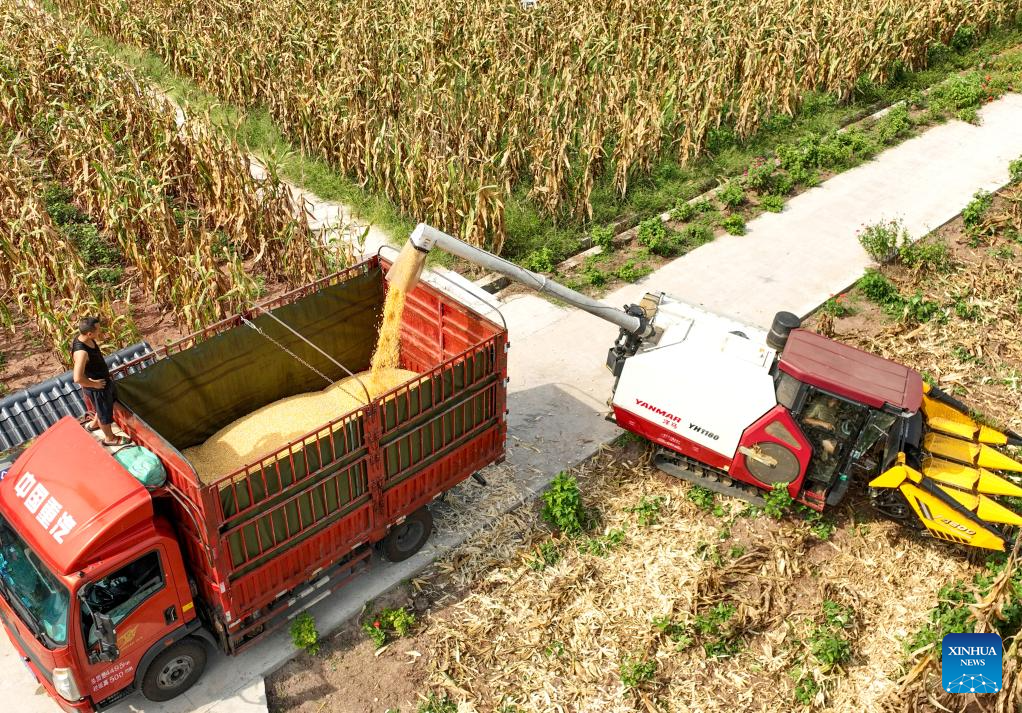 Farmers busy with harvesting across country on first day of autumn