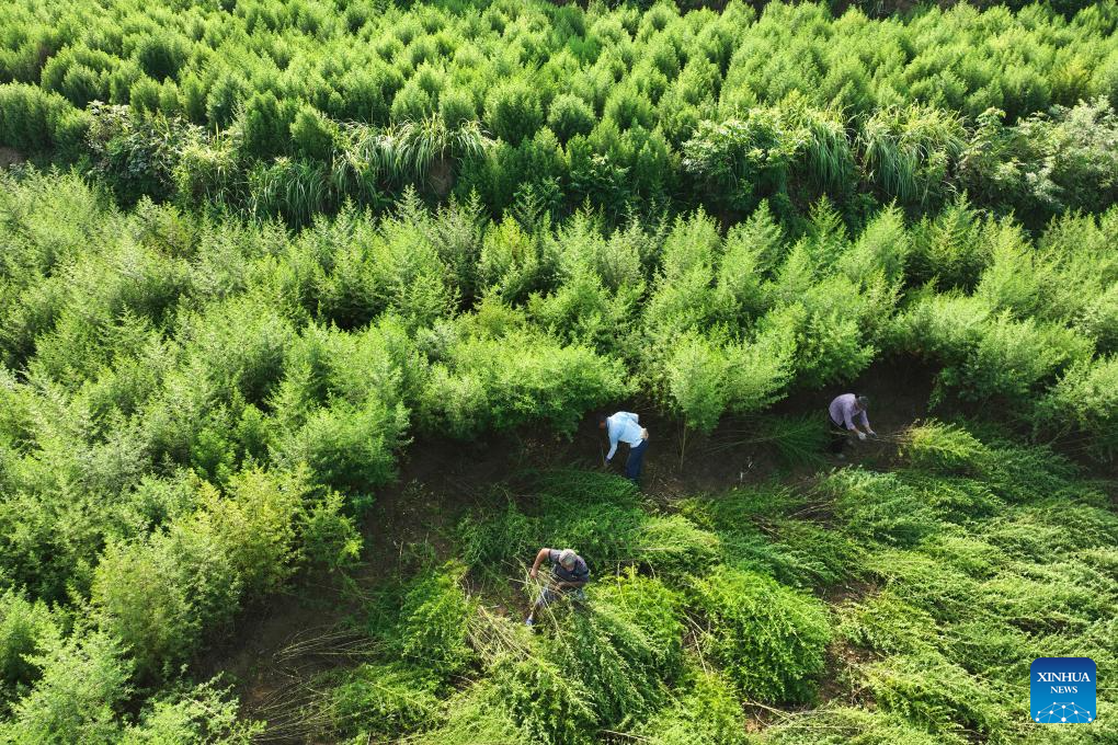 Farmers busy with harvesting across country on first day of autumn