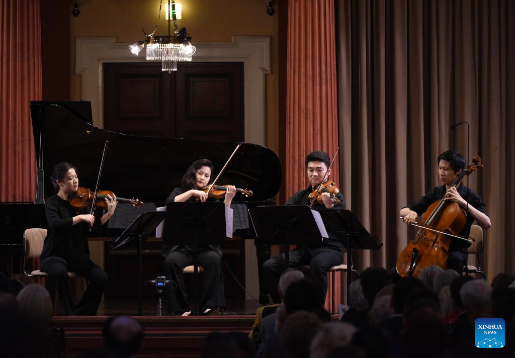 Chinese musicians perform in Vienna, Austria