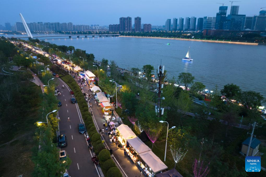 NW China's Xi'an develops night economy to boost consumption