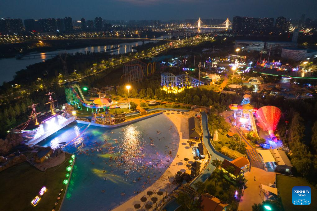 NW China's Xi'an develops night economy to boost consumption