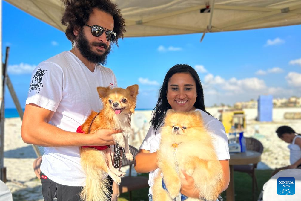 Feature: Pet carnival held in Egypt to raise animal protection awareness