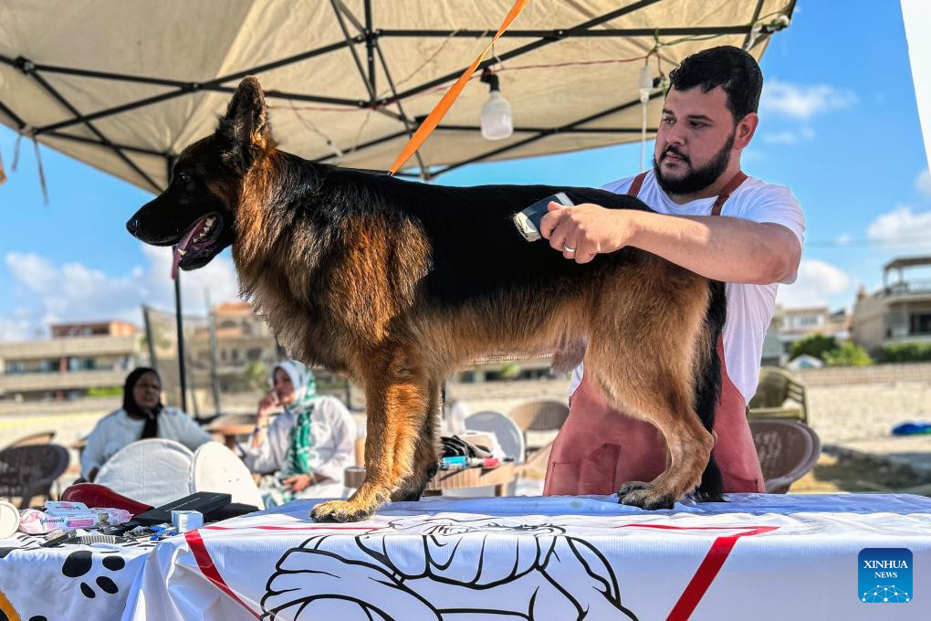 Feature: Pet carnival held in Egypt to raise animal protection awareness