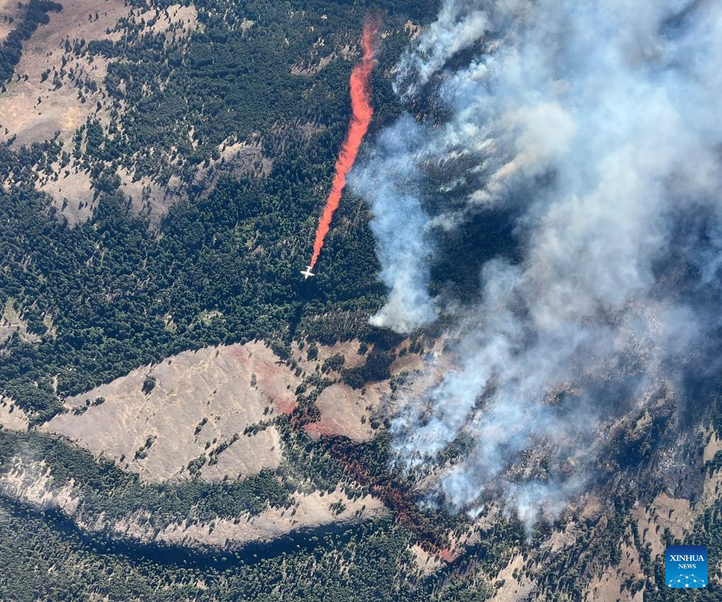 Canada's British Columbia introduces travel restriction amid wildfire crisis