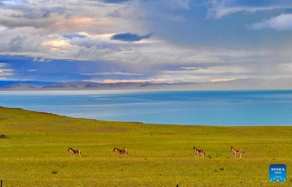 Scenery of Zhari Namco Lake in Ali, Tibet