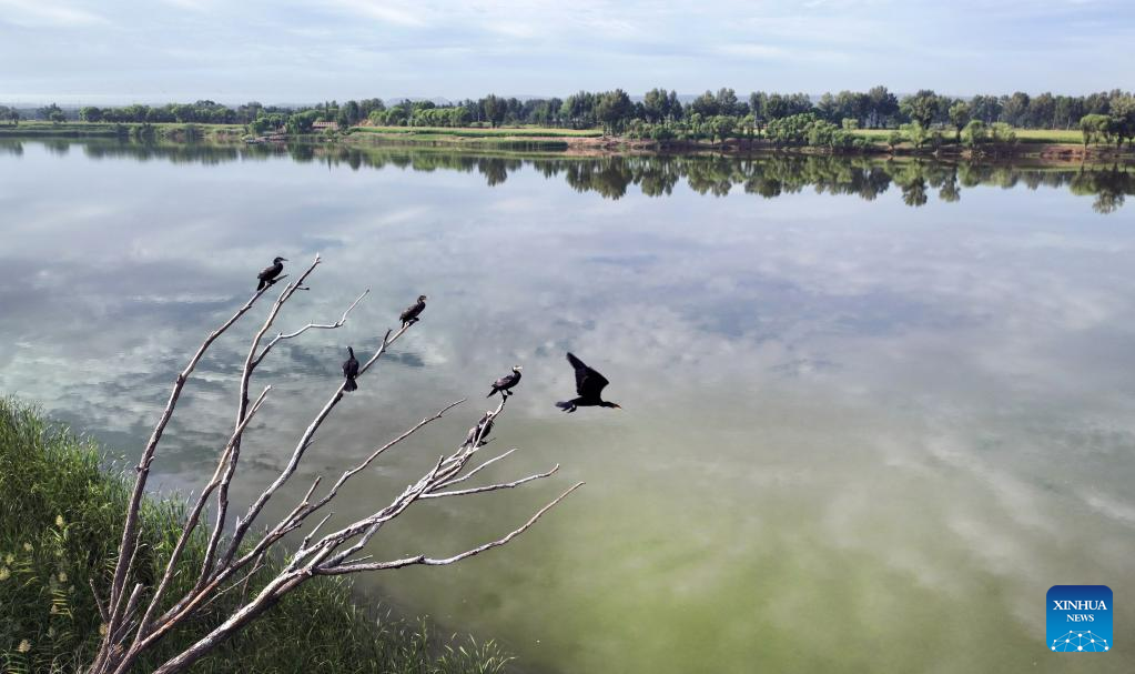 Scenery of Luhe River in Jingbian County, NW China