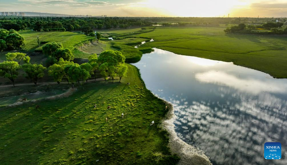 Scenery of Luhe River in Jingbian County, NW China