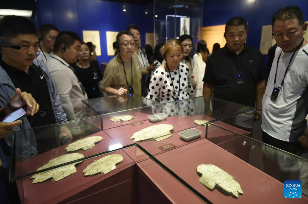 Museums in Henan witness many visitors in summer vacation