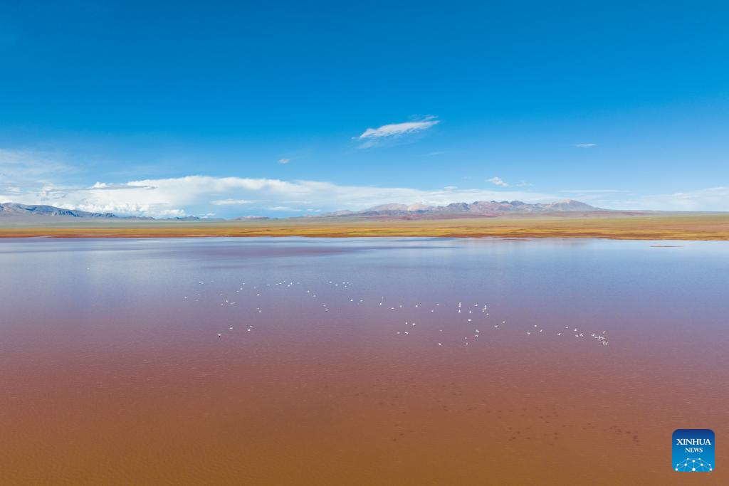 Lake scenery in SW China's Tibet