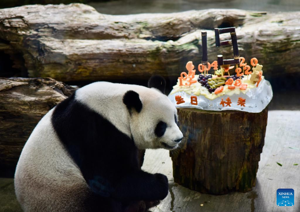 Taipei Zoo celebrates 19th birthday of giant panda from mainland