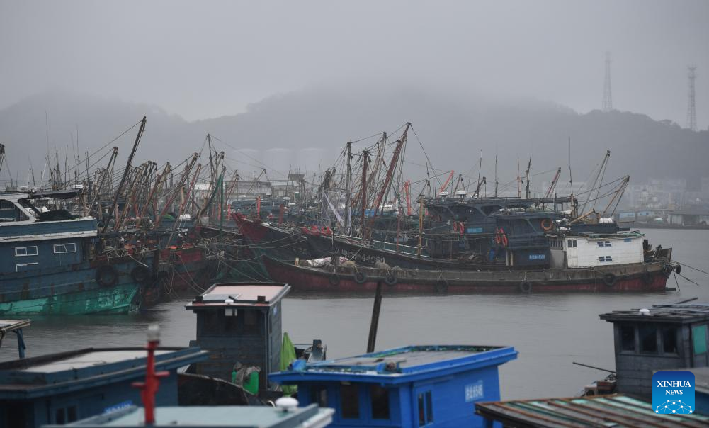 Typhoon Haikui makes landfall in east, south China