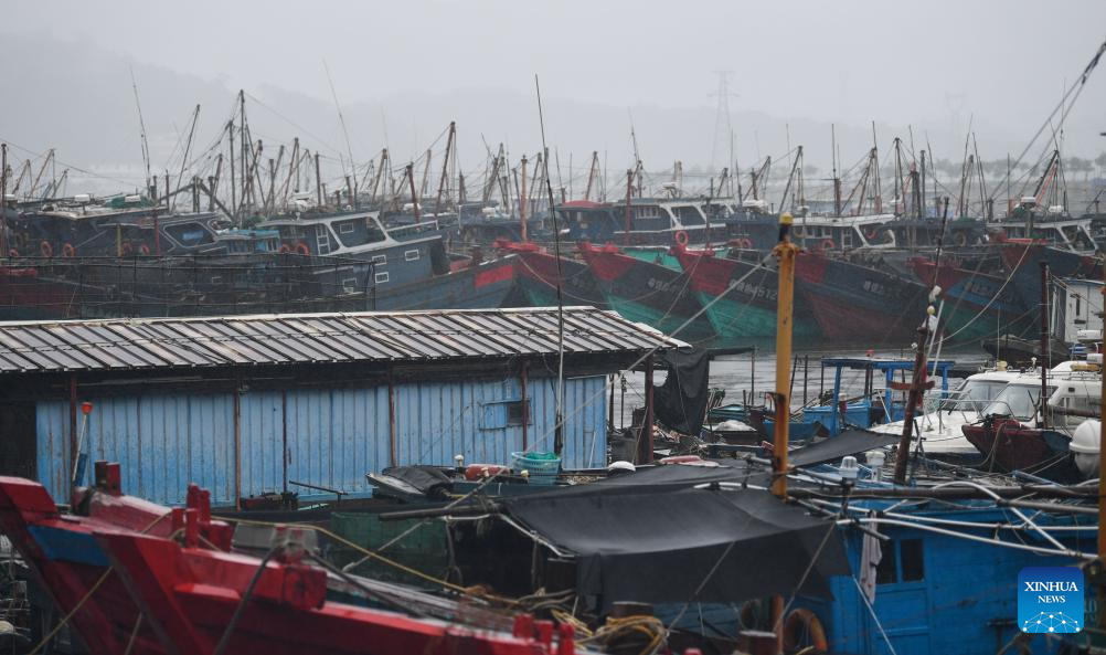 Typhoon Haikui makes landfall in east, south China