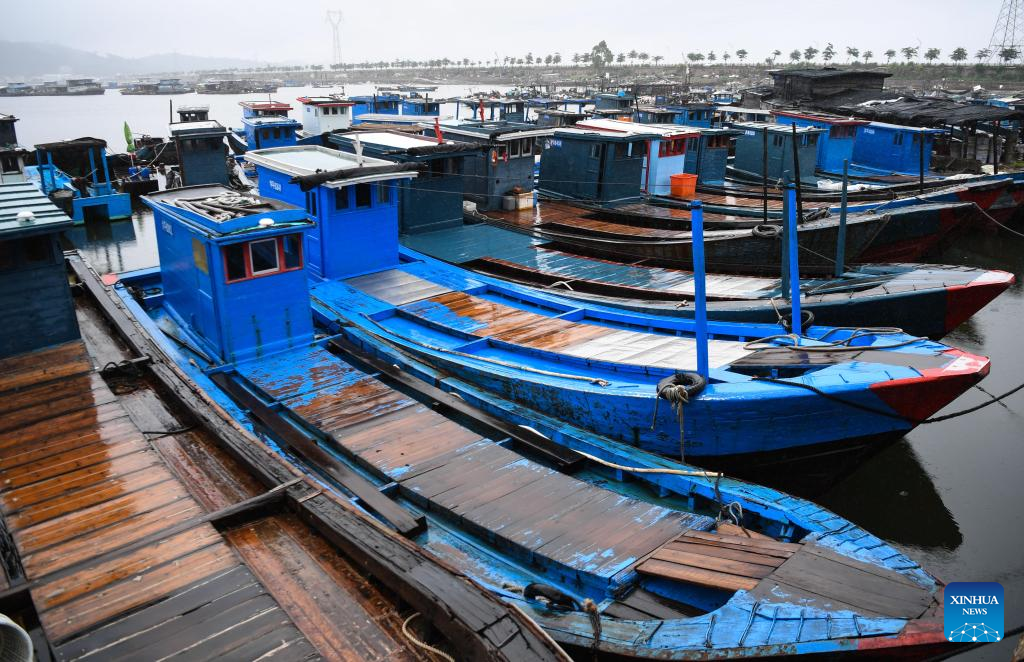 Typhoon Haikui makes landfall in east, south China