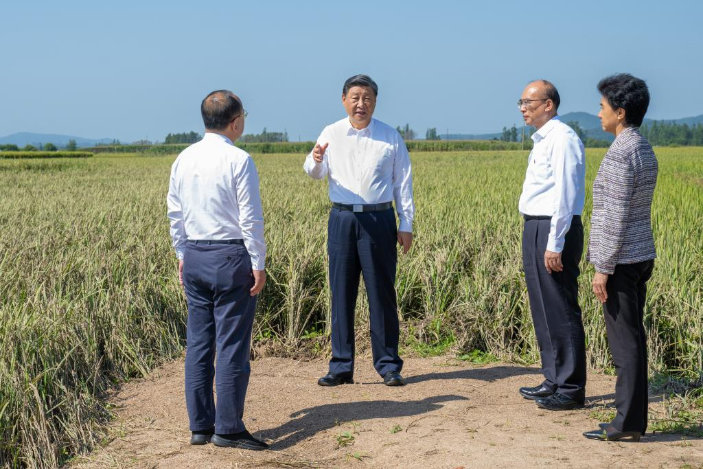 Xi visits flood-affected villagers in NE China's Heilongjiang Province