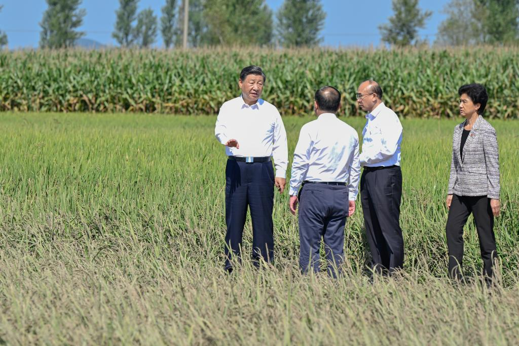 Xi visits flood-affected villagers in NE China's Heilongjiang Province