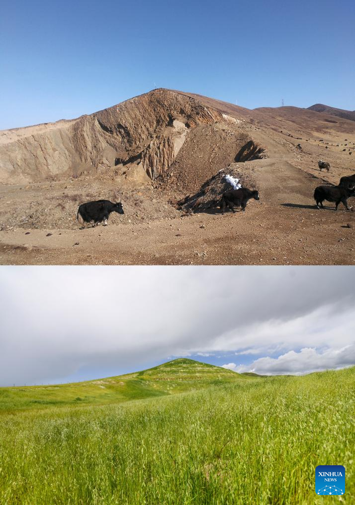 Blankets made from coconut shells used for grassland restoration in SW China's Sichuan