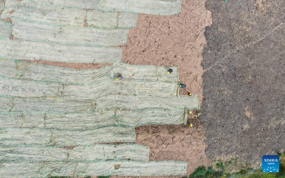 Blankets made from coconut shells used for grassland restoration in SW China's Sichuan