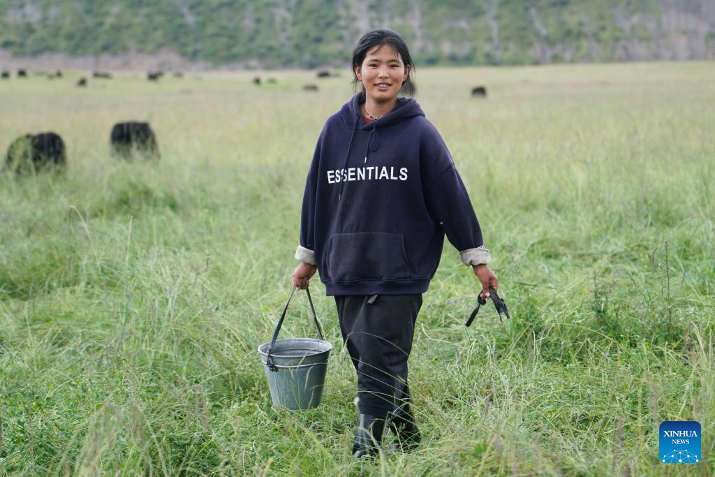 Pic story of shepherd family in NW China