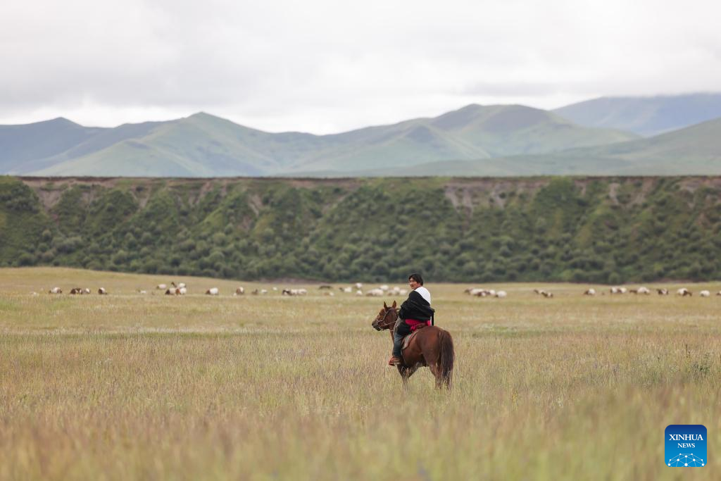 Pic story of shepherd family in NW China