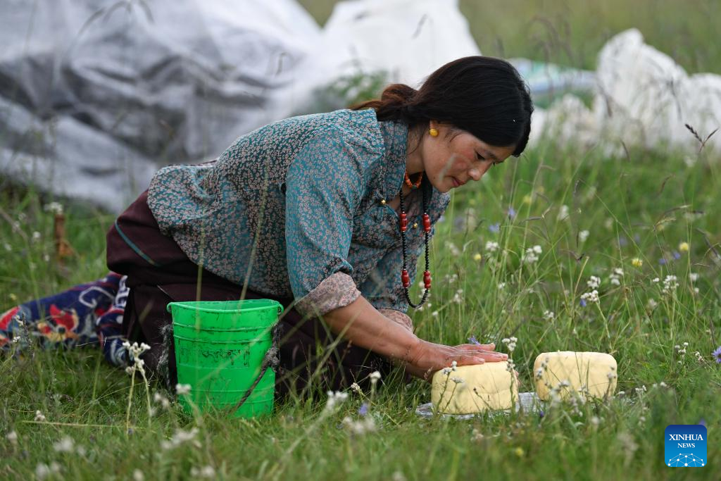 Pic story of shepherd family in NW China