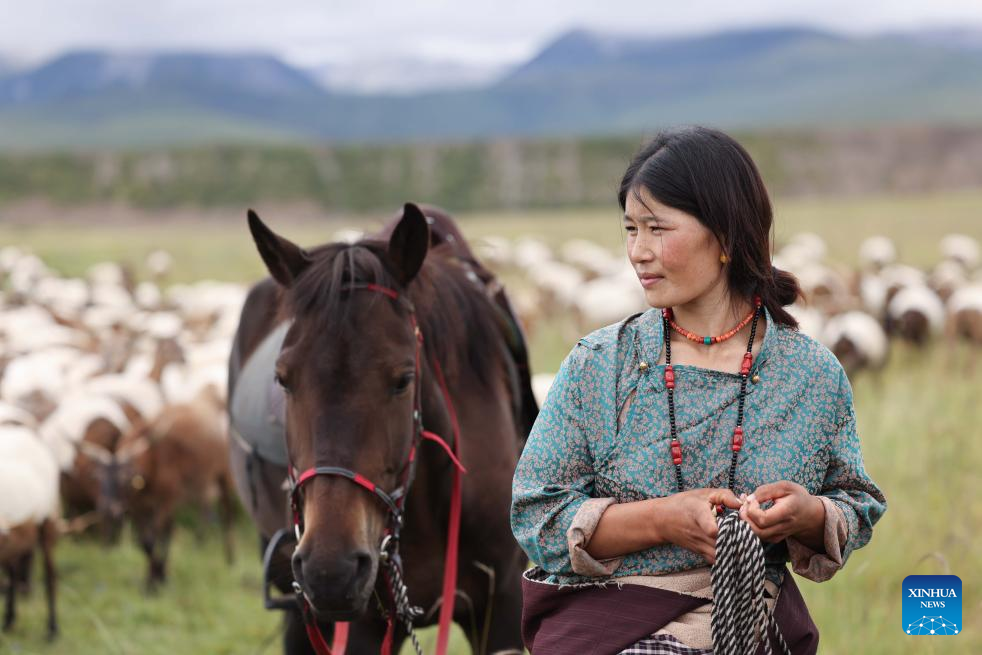 Pic story of shepherd family in NW China