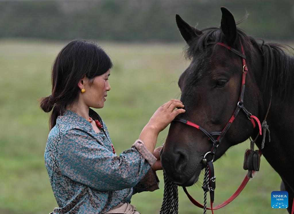 Pic story of shepherd family in NW China