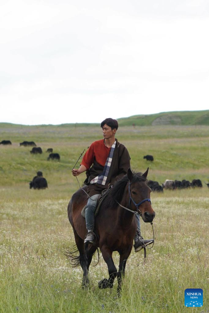 Pic story of shepherd family in NW China